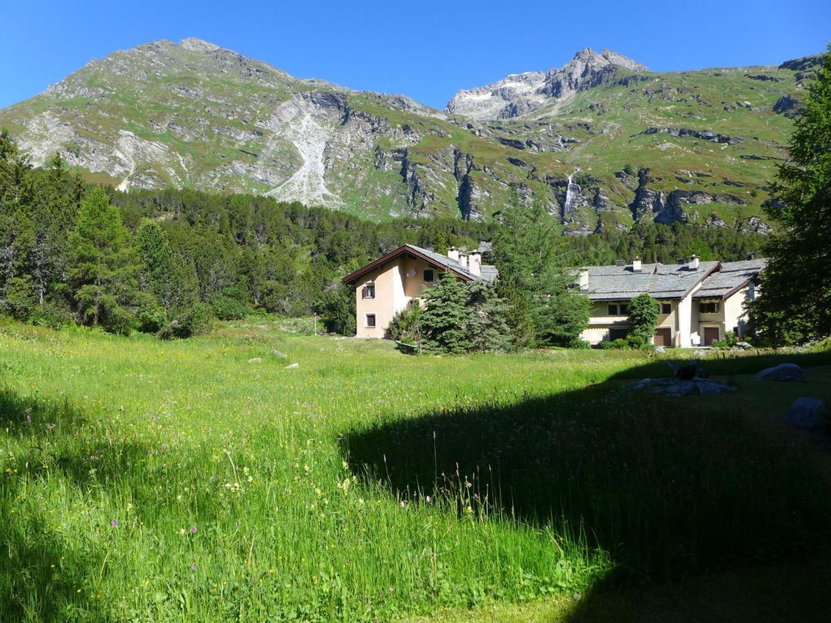 Apartment Casa La Planuera By Interhome Maloja Eksteriør billede